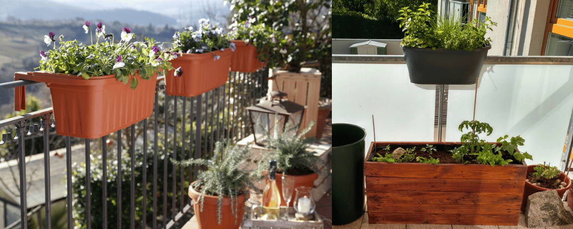 Truhlíky na balkon pěstování